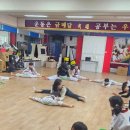 보성태권도 이미지