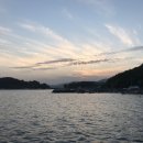 진동돌장어 이미지