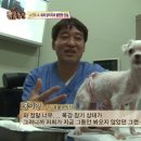 조종농장 이미지