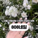 808네일 이미지