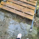 순희네 옻닭 | 담양 지향가든 계곡에 수영장까지 또 가야지!