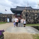 뿌리깊은나무 | 순천 낙안읍성 입장료 뿌리깊은나무박물관 통합권 후기