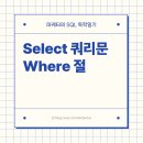 [SSS급 인재] 엑셀보다 쉽게 시작하는 성과 치트키, SQL 네이버블로그