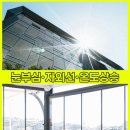 로이치과의원 네이버블로그