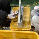 한림농원 이미지