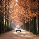 "가장 늦은 단풍이 가장 아름답네"... 11월 단풍여행으로 꼭 가볼만한 4곳 이미지