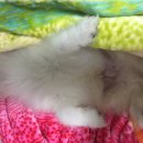 하누동물병원 이미지