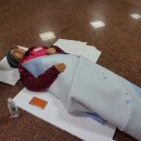 부산시교육청노조 이미지