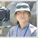 나산시장 이미지