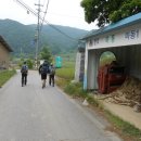 마동1리 이미지