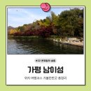 달리는커피북면점 | 남이섬 입장권 가는법 자전거 경기도 당일치기 가평 여행코스 추천