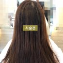 커트와파마(오전) 이미지