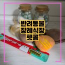 엠티브이8로 | 경기도 반려동물 장례식장 펫콤, 메모리얼스톤 제작비용 이용후기