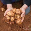 김경길농장 이미지