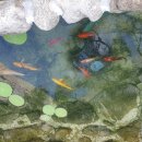 자연과인간사이 이미지