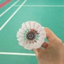 삼화 | 빅터 NCS MAX,NCS,삼화블랙 셔틀콕 비교후기 (내돈내산)