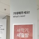 스토프컴퍼니 | 용인 이케아 기흥점 영업시간 및 주차 그리고 꼼꼼한 후기