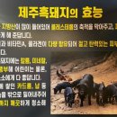 그때그제주흑돼지집