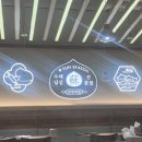 쑤항계절 강남점 | [서울 강남] 쑤항계절