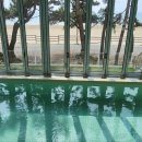 비비체 풀빌라 이미지