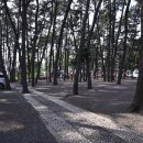 춘장대나드리캠핑장 이미지