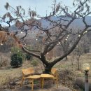 두메산골 민박 이미지