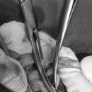 아랑동물병원 이미지