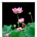 좋은 생각