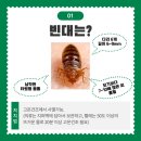 모두의 약국 이미지