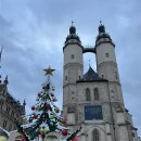 자명약국 | 독일에서 살아남기 - 중간정산