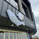 제주/제주시) 제주 브런치카페, 애월맛집, 애월아침식사, 애월 감성카페[달고래 키친]