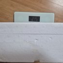 으뜸농산물 | 농라) 으뜸농산물 스낵오이