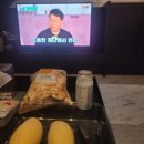 나만봄 펜션 | 경주 &#39;나의 봄 펜션&#39; 숙박 후기 (청결 및 1층, 2층 장단점)