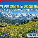 디오스트 | [6월 한정] 스위스 7박 9일 만년설 & 야생화 완전정복 코스 + 고물가 방어 가이드 (2026 최신)