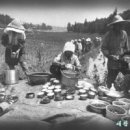 보리타작 이미지