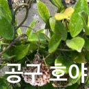 문산화원 이미지