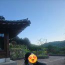 후아경 | 고요한 산 속, 온전한 나를 만나는 곳 경기 양평 스테이 <후아경> 내돈내산 추천후기