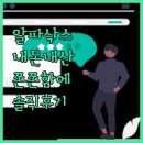 🧦올댓부츠 알파 삭스, 내돈내산 솔직 후기! 쫀쫀함에 반하다😍