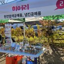 히어리마켓