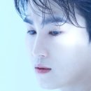 느티나무 도서관 이미지