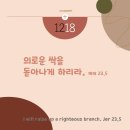 🏰 12월 18일 이미지