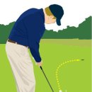 (주)골프라인