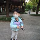 숲에온유치원 | [리뷰::아이고고- 숲에온아이들] 두번의 한여름밤의 밤숲체험 후기 (북서울꿈의숲, 서울숲)