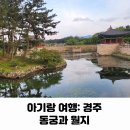 지에스25 금촌2동귀빈점 | 아기랑 여행 경주 동궁과 월지 연꽃단지 주차 입장료 운영시간 수유실 관람꿀팁