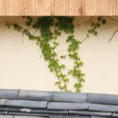 고려동유적지 이미지