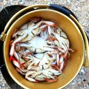 🏕 10월31일~11월2일 대부도 나라캠핑장 노을뷰 맛집 힐링 캠벙 이미지