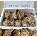 성호횟집 네이버블로그