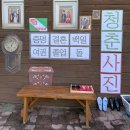 사과나무사진관