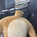 무브멘터리