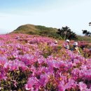 제암산등산로 이미지